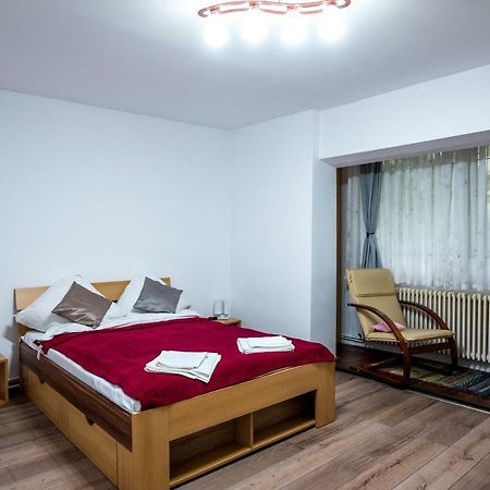 Appartamento di 30 m² con 1 camera Timisoara Esterno foto