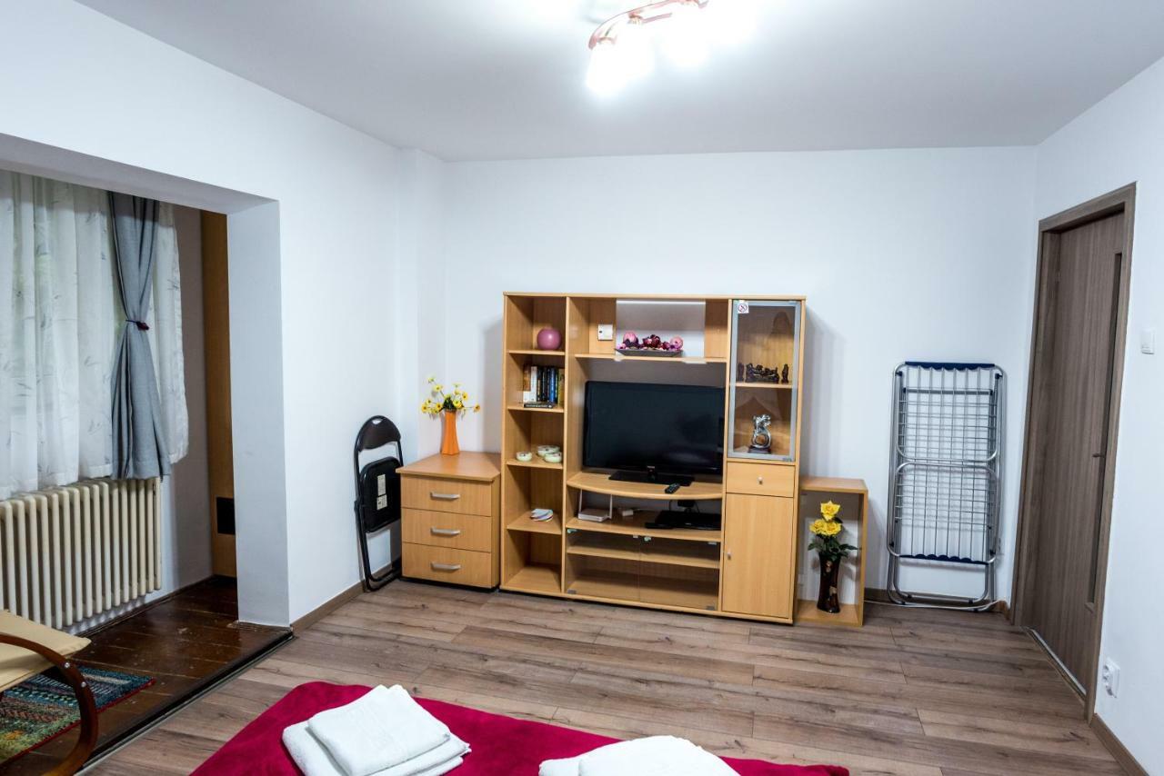 Appartamento di 30 m² con 1 camera Timisoara Esterno foto
